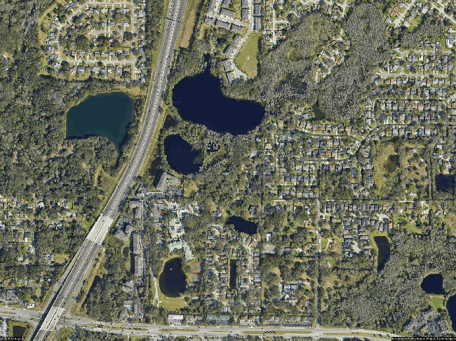 15615 Willowdale Rd, Tampa, FL