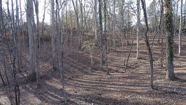 Image of 116 Woods Dr