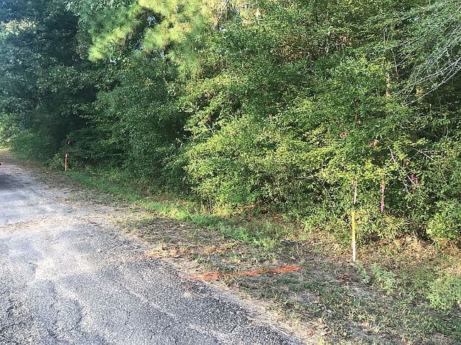 0 Mud Cat Dr #290, Trinity, TX