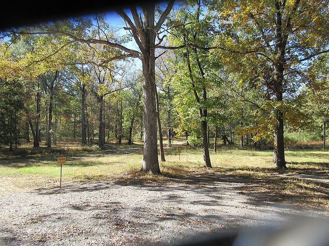 Image of Driftwood Dr