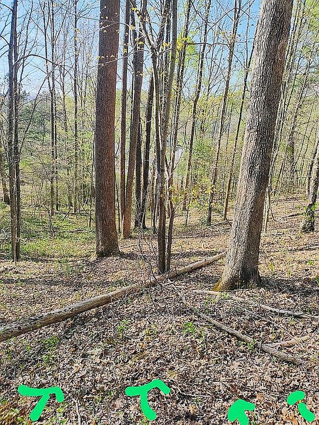 Photo of 122 Oak St, Lancing, TN