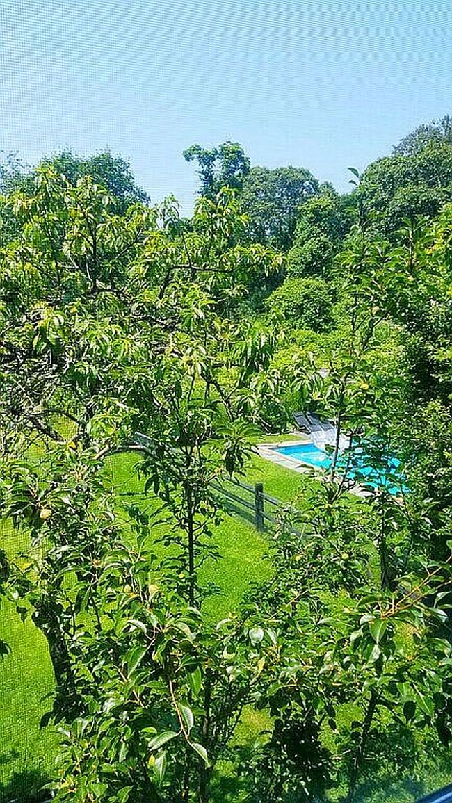 Image of 1085 Bridgehampton Sag Harbor Tpke