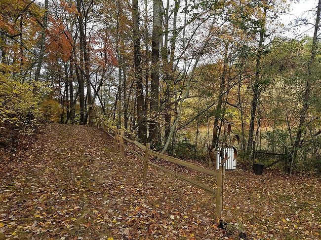 Photo of 783 Dalrymple Cir, Ellijay, GA