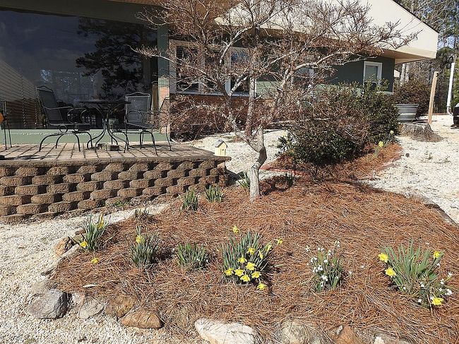 Image of 220 Honeysuckle Ln