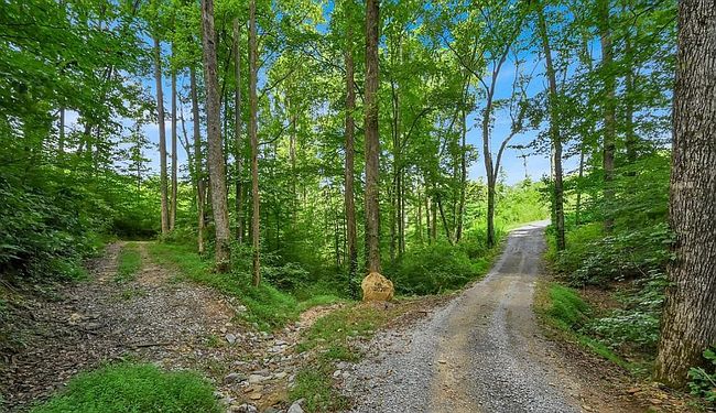 Preview of property located at 1380 County Road 1216