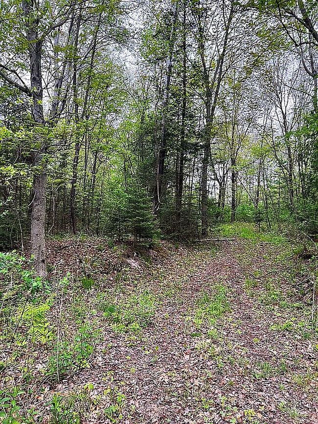 Photo of 4383 E Oak Ridge Dr, Au Gres, MI