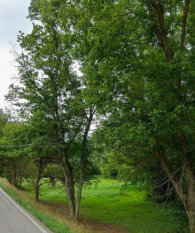 Photo of 6155 Highway 460 W, Salyersville, KY