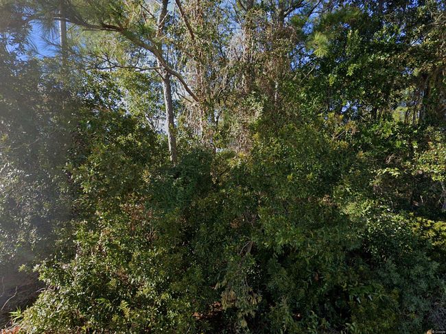 Photo of 1710 Swordfish Ln, Kure Beach, NC