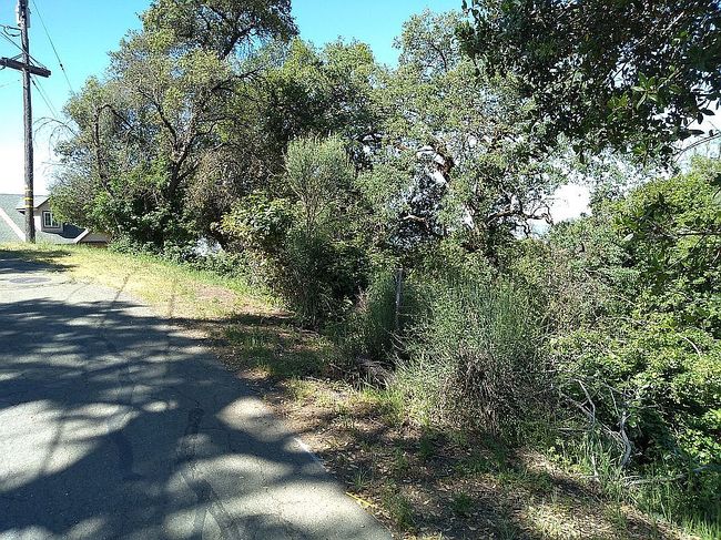 Image of 3385 Ogden Rd