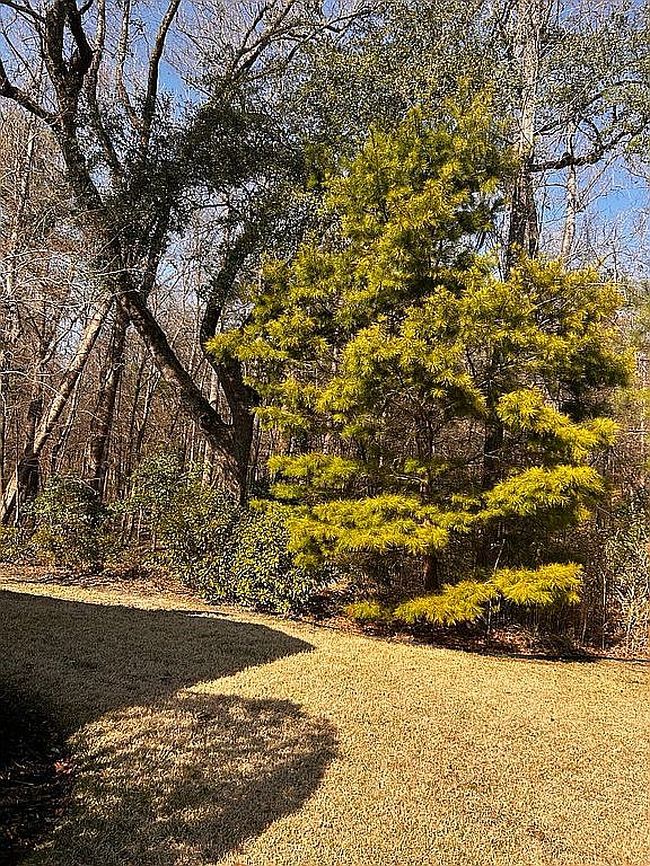 Image of 130 Phoebe Rd