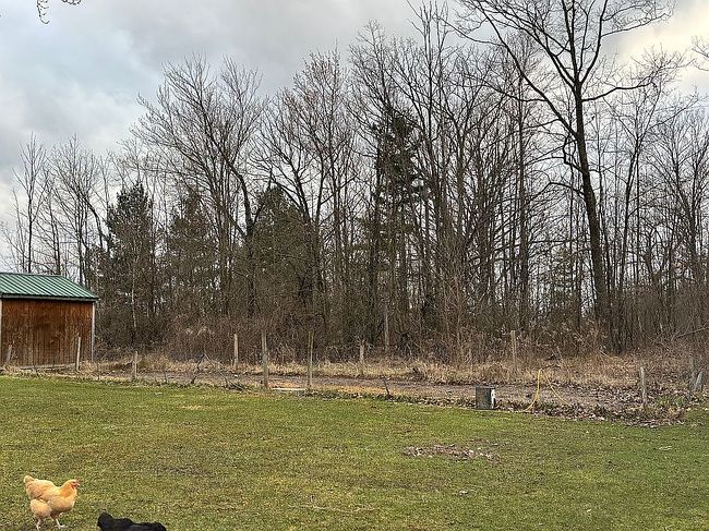 Photo of 3912 Henderson Lake Rd, Prescott, MI