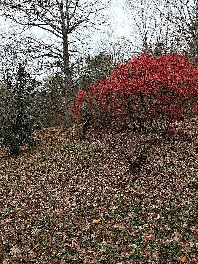 Additional photo 3 of property located at 3084 Old Mill Creek Rd