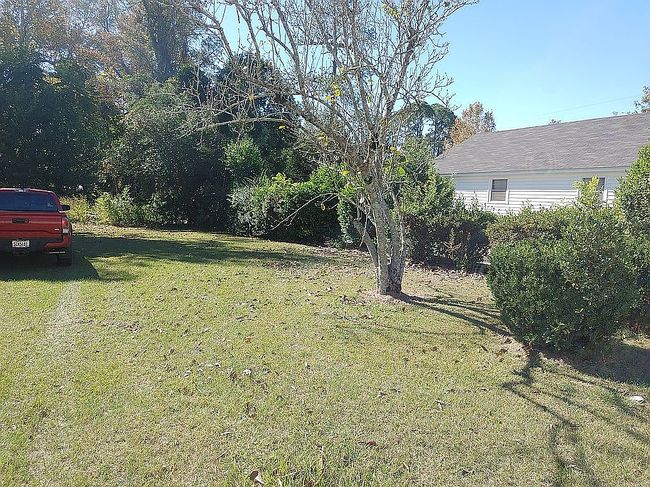 Photo of 203 Bremond St, Colquitt, GA