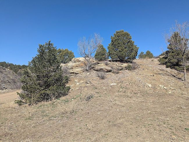 Image of 25201 State Highway 12
