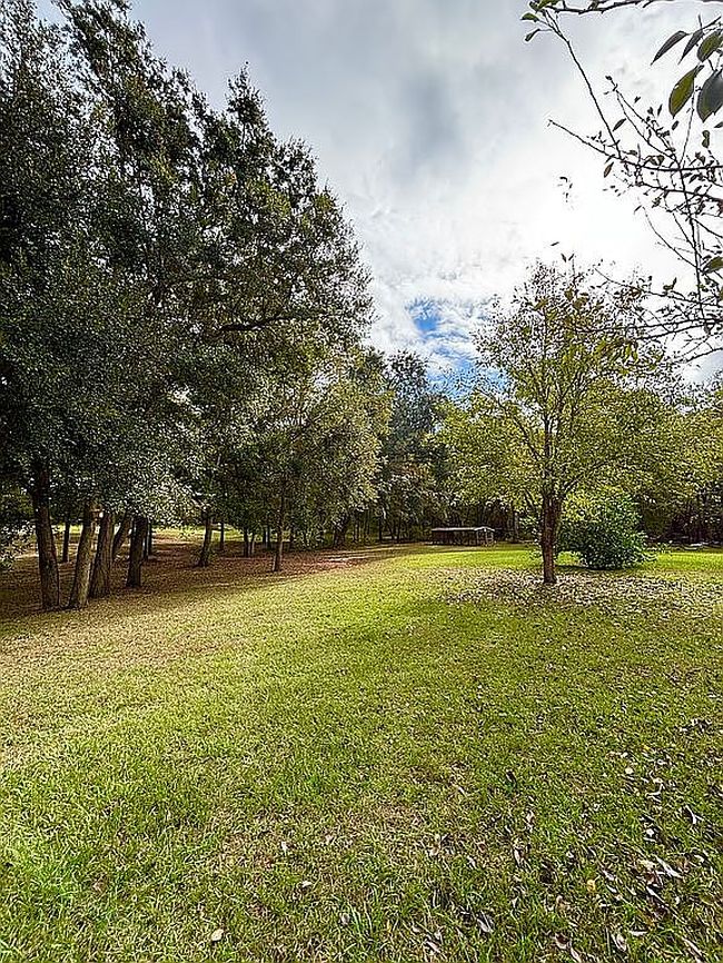 Image of 162 Blueberry Loop