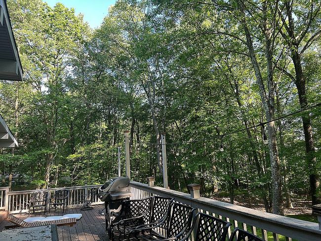 Image of 5 Hollow Tree Ct