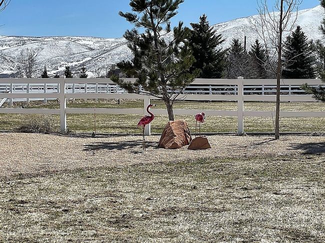 Photo of 1815 W 1200 S, Heber, UT