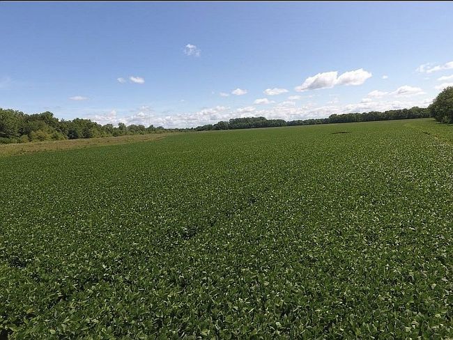 Photo of 0 County Road 153