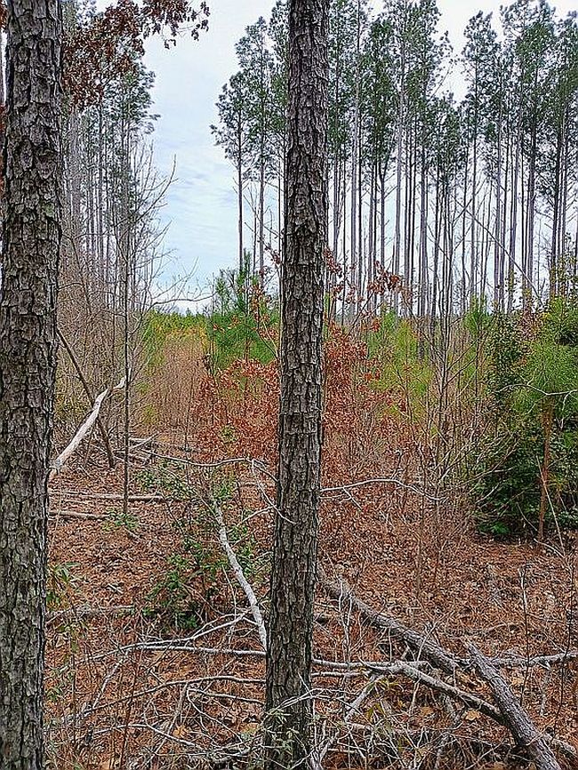 Image of Baltimore Church Rd