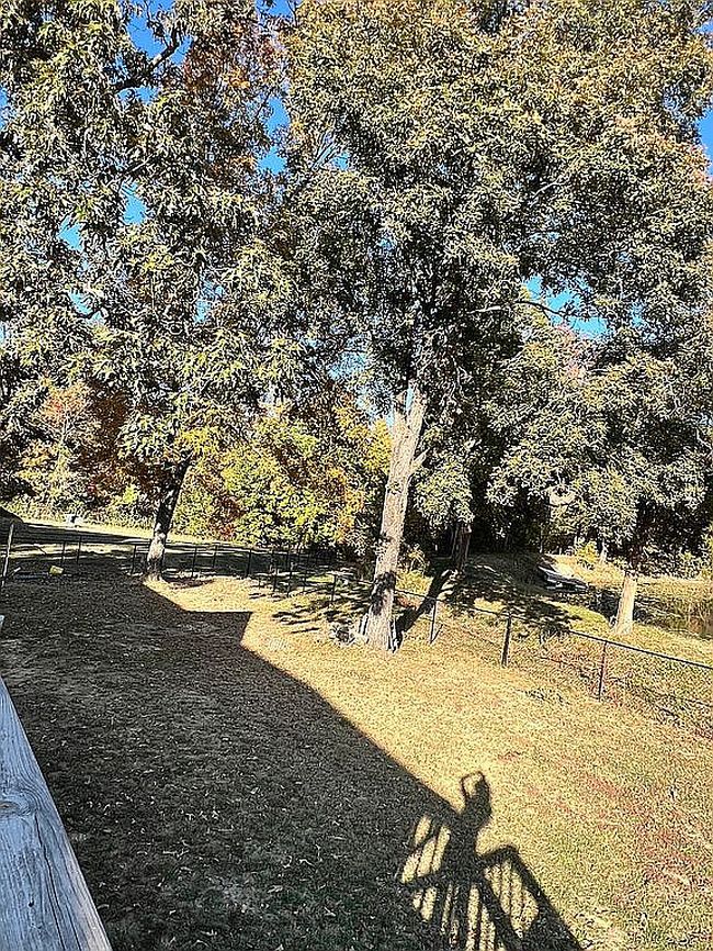Image of 2192 J Bird Ln