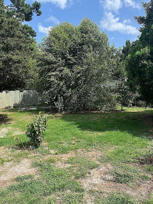 Image of 113 Priscilla St