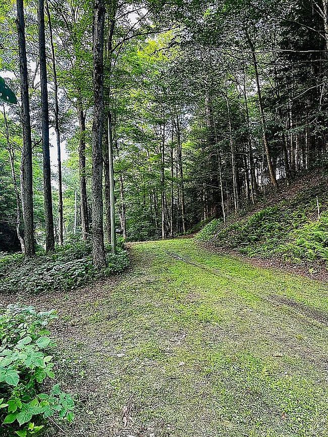 Photo of 1955 Ruttenbur Rd, Cherry Creek, NY