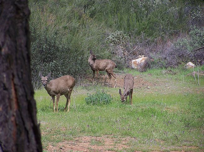 Photo of 16006 8th Ave, Clearlake, CA