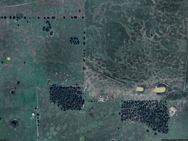 Photo of 160 County Road 1226, Detroit, TX
