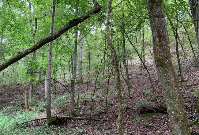 Photo of 1321 River Road, Helena, AL