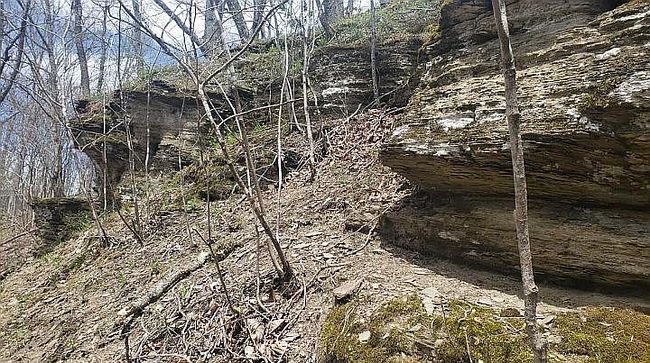 Image of 0 Mud Fork Rd