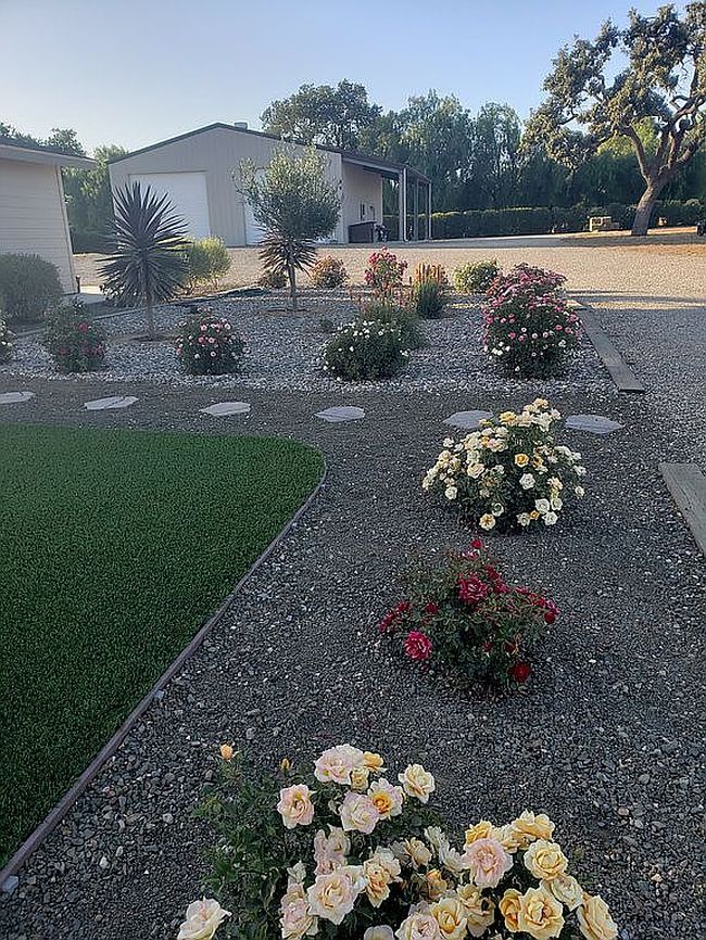 Image of 1699 Calzada Ave