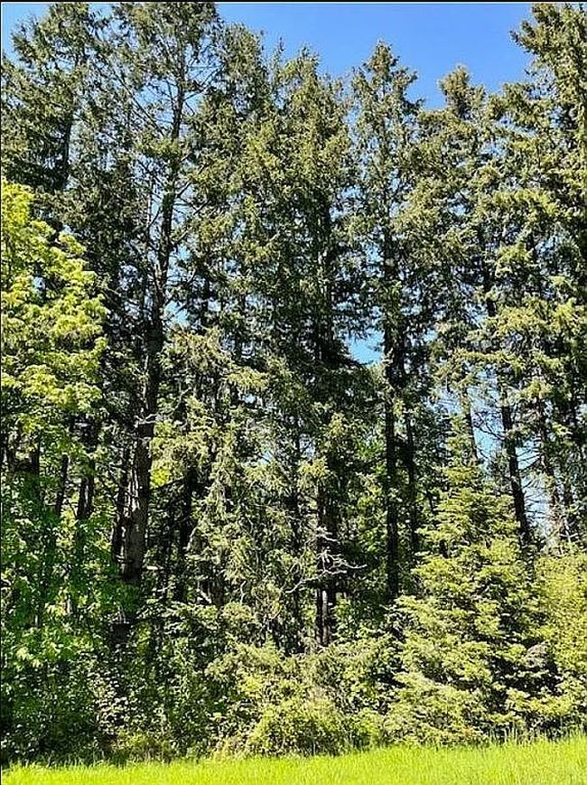 Additional photo 3 of property located at 2678 Drift Creek Rd Ne