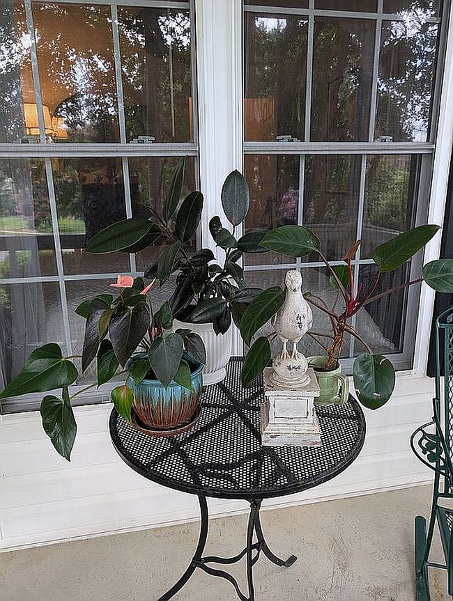 Photo of 2177 Lookout Rdg, Rock Hill, SC
