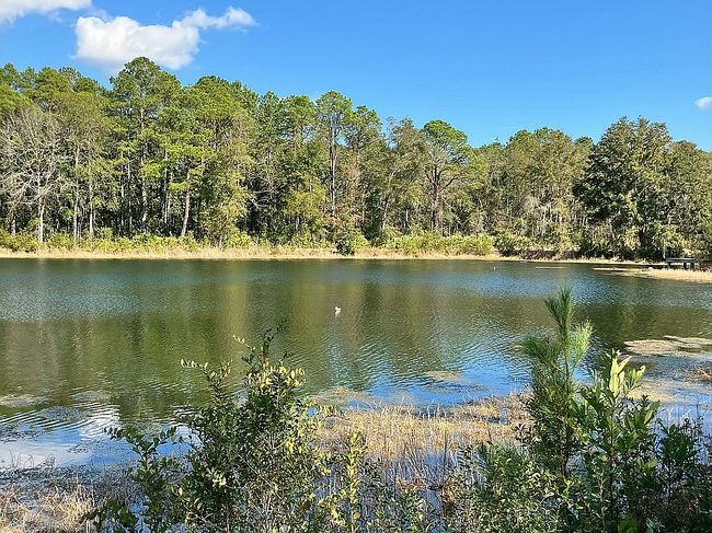 Lot 22 Pine Hill Rd Ne, Townsend, GA