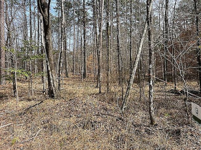 Photo of Ridgeway Ln, Toomsuba, MS