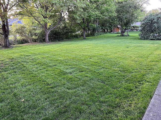 Image of 21508 Ellen Dr