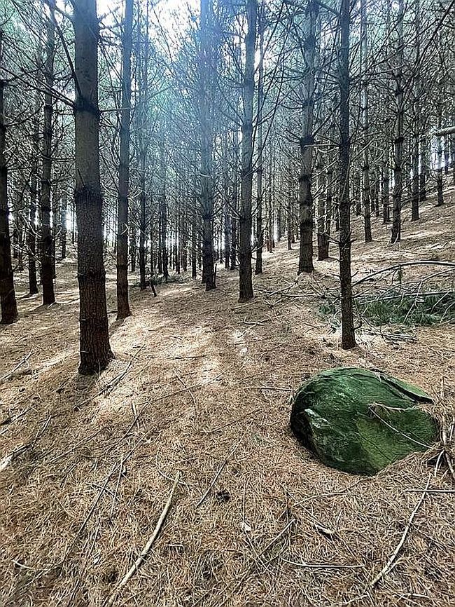 Image of 413 Low Gap Rd