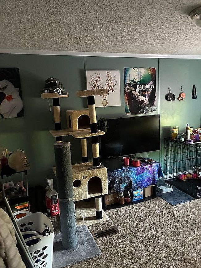 Image of 6515 Hawthorne Dr