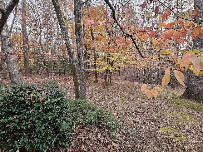 Photo of 1329 Wynncrest Ct, Raleigh, NC