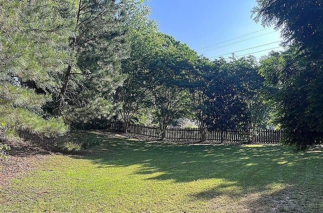 Image of 523 Meadowsweet Ln