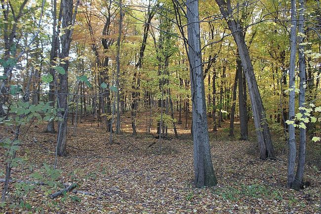 Photo of 0 Reflection Pond Dr Lot 7, Middleville, MI
