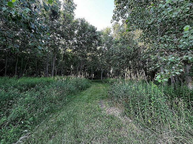 Photo of 6555 S Forest Hill Rd, Saint Johns, MI