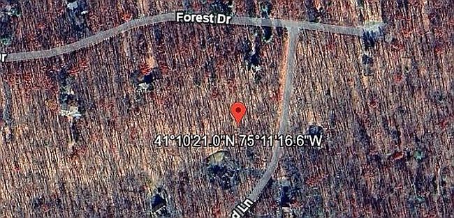 Image of 0 Dogwood Ln