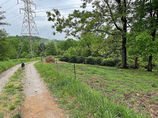 Image of 161 Five Mile Run