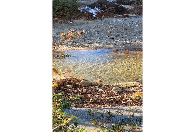 Photo of 33 Horse Cove Rd, Canton, NC
