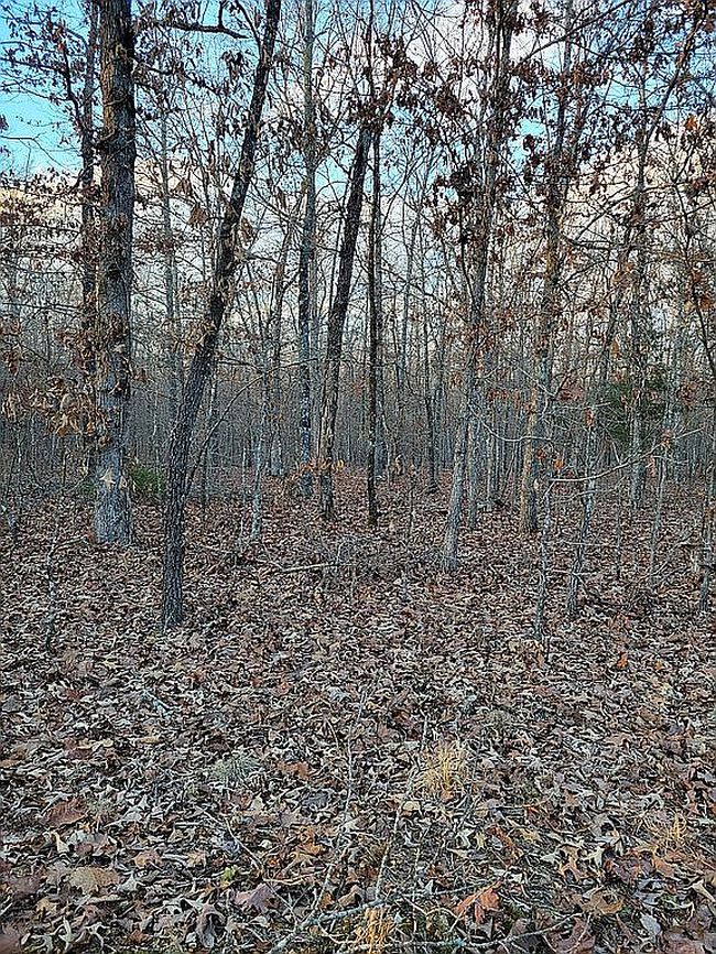 Preview of property located at 780 Jacee Ln