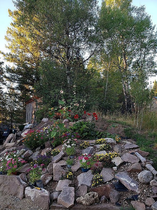 Photo of 11240 Woodpecker Trl, Tetonia, ID