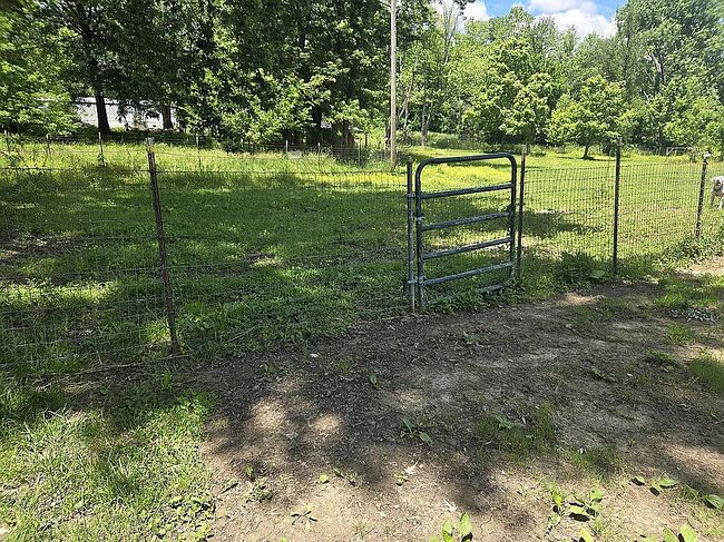Image of 7279 Peach Ln