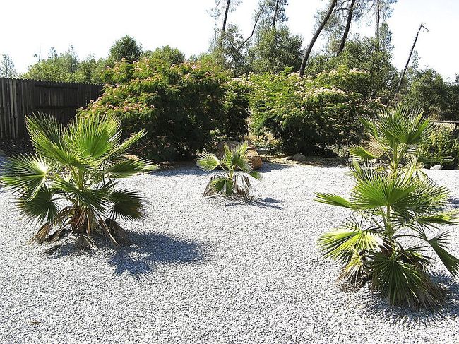 Photo of 4218 Ashwick Ct, Shasta Lake, CA