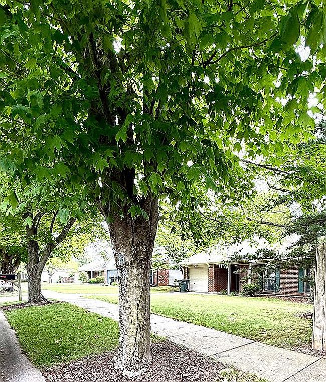 Image of 4888 Keats Grove Ln